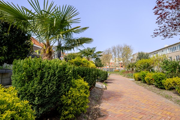 Medium property photo - Houtzagerssingel 120, 2512 XJ Den Haag